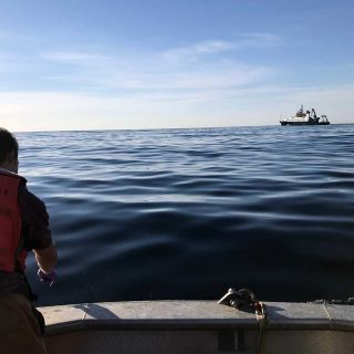 Are Southern California wildfires a threat to local marine life?